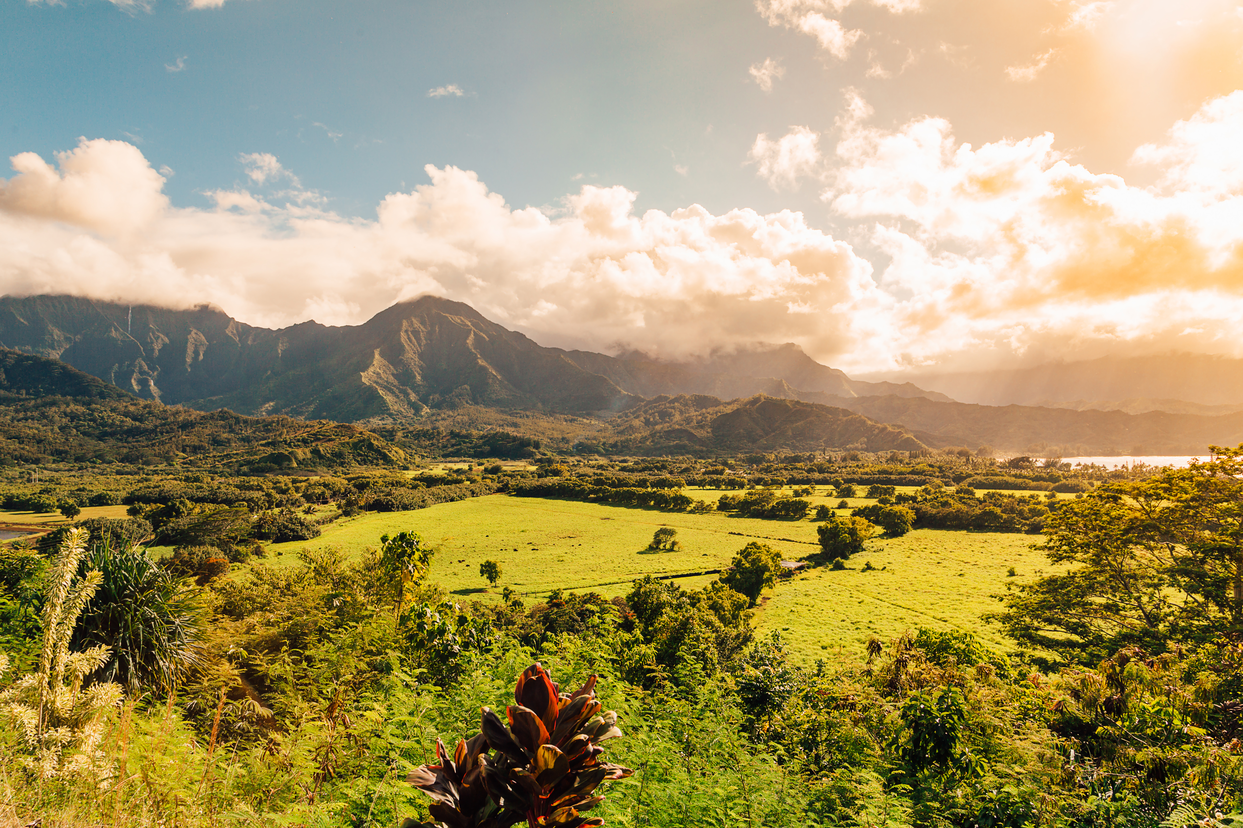 A panoramic shot of the beautiful nature on the Kauai island, Hawaii